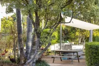 Regatta Noosa
