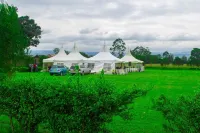 Stem Hotel Hotels in Nakuru