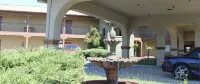 Shenandoah Inn, Major Credit Cards Required for Check IN Hotels in Jackson