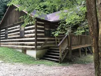 A Cabin in the Woods