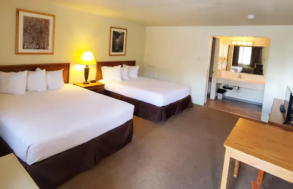 伊利馬格努森酒店