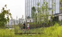 Courtyard by Marriott Seoul Botanic Park Hotels in Seoul
