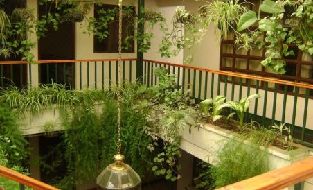 Hotel Los Olivos Quetzaltenango - Housity