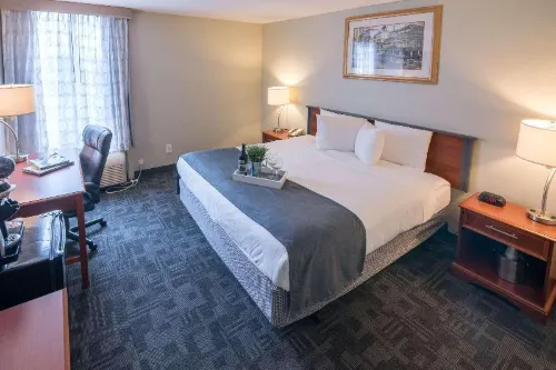 816 Hotel KCexperience - Pet friendly
