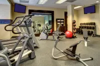 Hampton Inn & Suites Miami-Airport South-Blue Lagoon - Gym