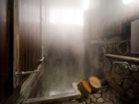 Hakusankan Hotels in Ono District