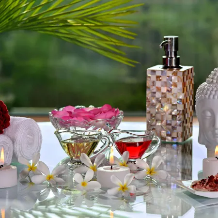 Radisson Blu Jaipur