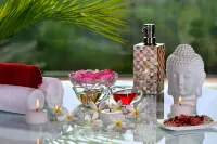 Radisson Blu Jaipur - СПА