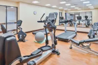 Hyatt Place Herndon Dulles East - Kuntosalit