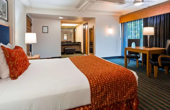 松樹貝斯特韋斯特酒店