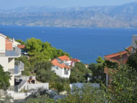 Molo Lozna