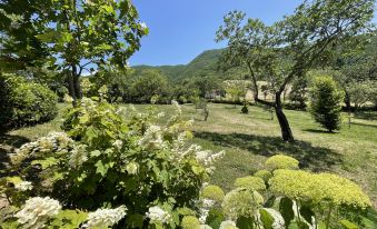 Spoleto Splash : Cisterna/Sleeps 2/3/Wifi/Aircon - Beautiful Views All Around