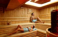 Darkhill Hotel - Spa