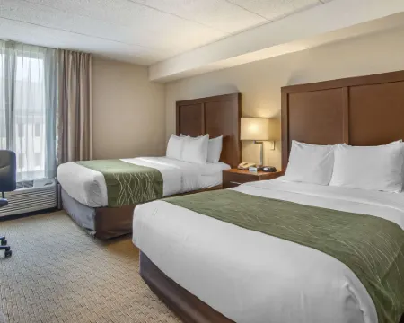 コンフォート イン シャディー グローブ - ゲイザースバーグ - ロックビル ゲイサーズバーグのホテル