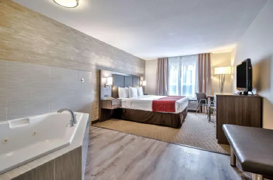 Comfort Inn & Suites South