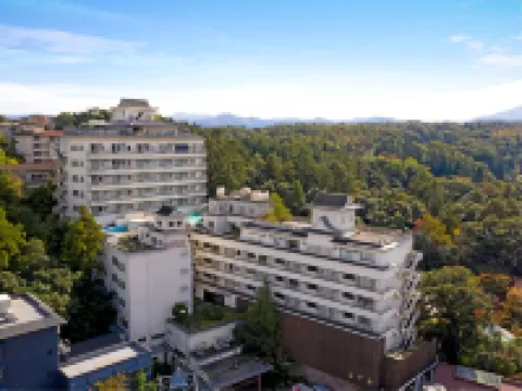 大江戸温泉物語Ｐｒｅｍｉｕｍ　山下家