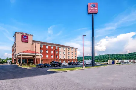 Comfort Suites Pelham Hoover I-65