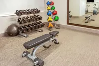 La Quinta Inn & Suites by Wyndham Lubbock West Medical Centr - salle de sport
