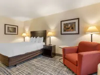 Best Western Visalia Hotel Hotels in Visalia