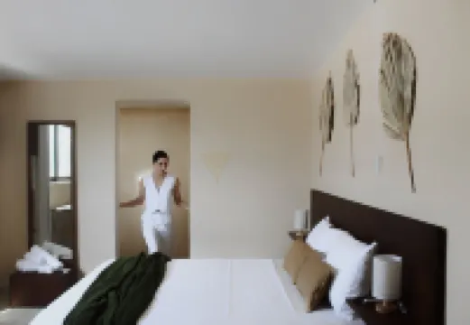 Casa Paseo Montejo / Mérida Yucatán Centro 01