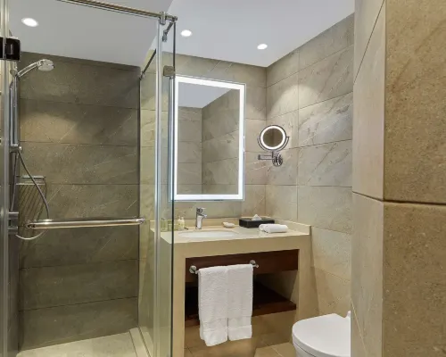 Ramses Hilton Habitaciones Photos