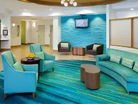 SpringHill Suites Frankenmuth - Parkering