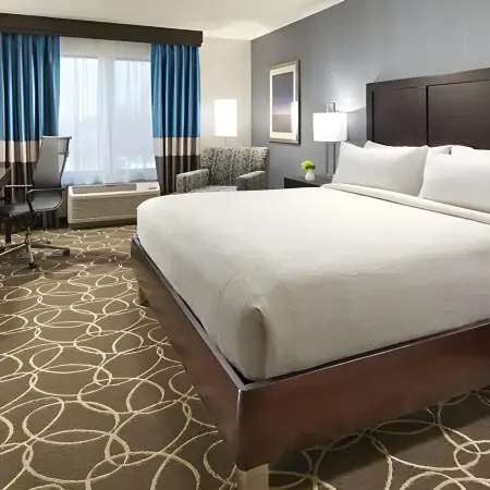 Hilton Garden Inn Tampa - Wesley Chapel
