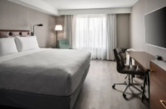 舊金山機場福朋喜來登套房酒店 南舊金山酒店