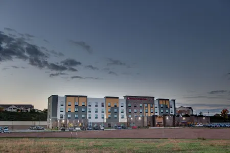 Hilton Garden Inn Topeka Отели в г. Shawnee County