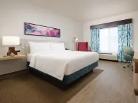 Hilton Garden Inn Atlanta NW/Kennesaw Town Center Hotels in Kennesaw