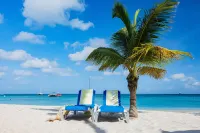 Tryp by Wyndham Aruba Adults Only Hotel - Strand