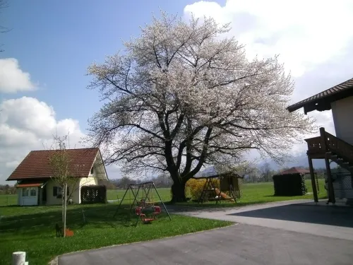 5 star apartment "Sissi" with heated pool & fantastic panorama Hotels in Übersee