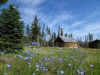 Bluebird cabin in Stanley, Idaho