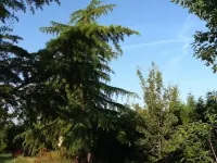 VERY NICE GITE FOR 6 TO 8 PEOPLE WITH PRIVATE SWIMMING POOL 7x3