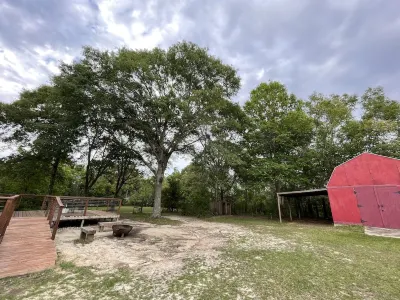 Blueberry Hill - Peaceful get away for the whole family!
