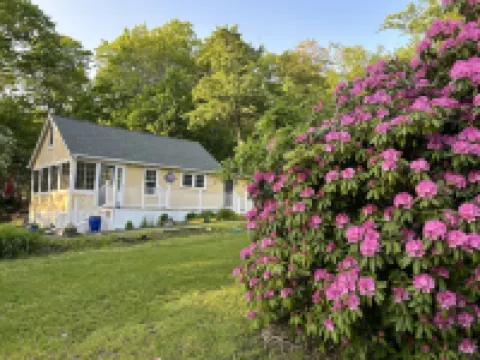 Lakeview property in private community. Lake & beach access. Swim/Kayak all day!