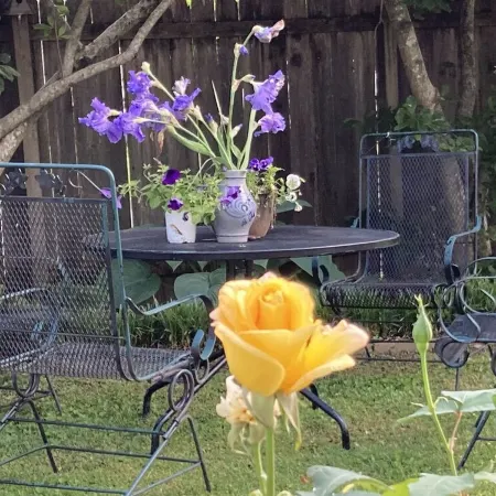 Sunny Blue Bungalow near Nashville in Historic Downtown Murfreesboro