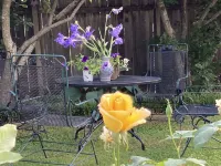 Sunny Blue Bungalow near Nashville in Historic Downtown Murfreesboro Walgreens附近的飯店