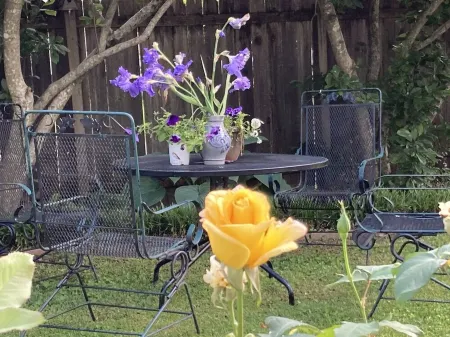 Sunny Blue Bungalow near Nashville in Historic Downtown Murfreesboro