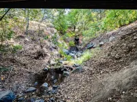 Hidden Creek House near Downtown SLO. Family Sized!
