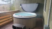 Private Hot Tub, King Size Bed Crystal Mountain 17 miles, Traverse City Sleeps 4 Hotels in Interlochen