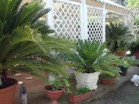 Brand new outbuilding surrounded by greenery not far from the sea LAST MINUTE SEPT! Hotel a Nardò