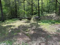 Whole house, secluded getaway near Alley Springs, Eminence , Missouri.