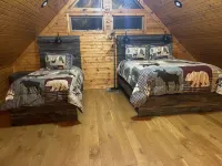 Beautiful rustic and secluded cabin on a dead end lane and close to Galena, IL.