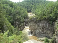 Lovely Log Cabin-15 Min to Asheville! 20 Min to Biltmore! Local breweries abound