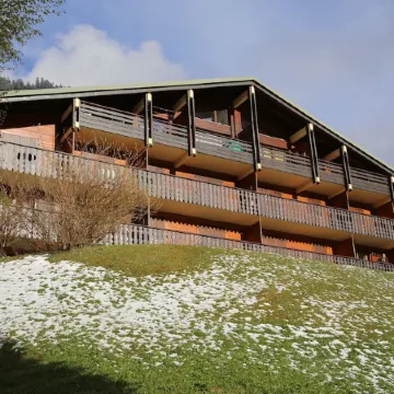 Very well appointed Apartment in Chatel , very convenient for shops ,restaurants
