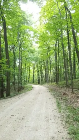 The Esker Ridge Chalet, Pristine Elkhart Solitude