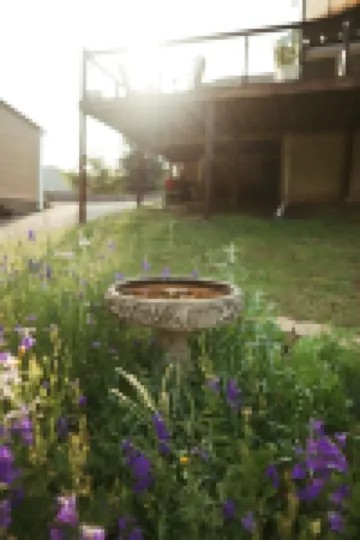 Private Beach on Harpeth River