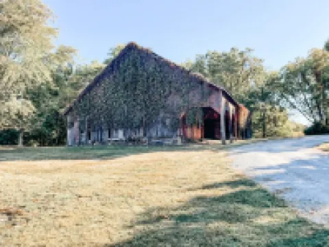 Country, hideaway cabin close to town, 15 minutes from wineries