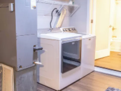 Nest - The Urban Treehouse